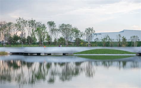 ¡Sumérgete en la Historia y la Naturaleza en el Parque Arboreto de Baotou!