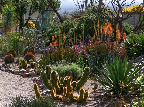 ¡Sumérgete en la magia del Jardín Botánico de Girardot: un oasis verde para conectar con la naturaleza!